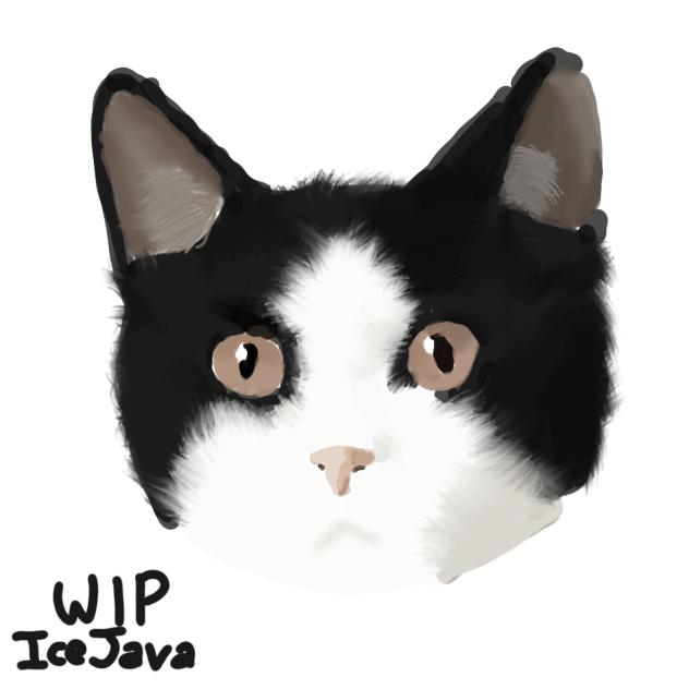 cat wip ig