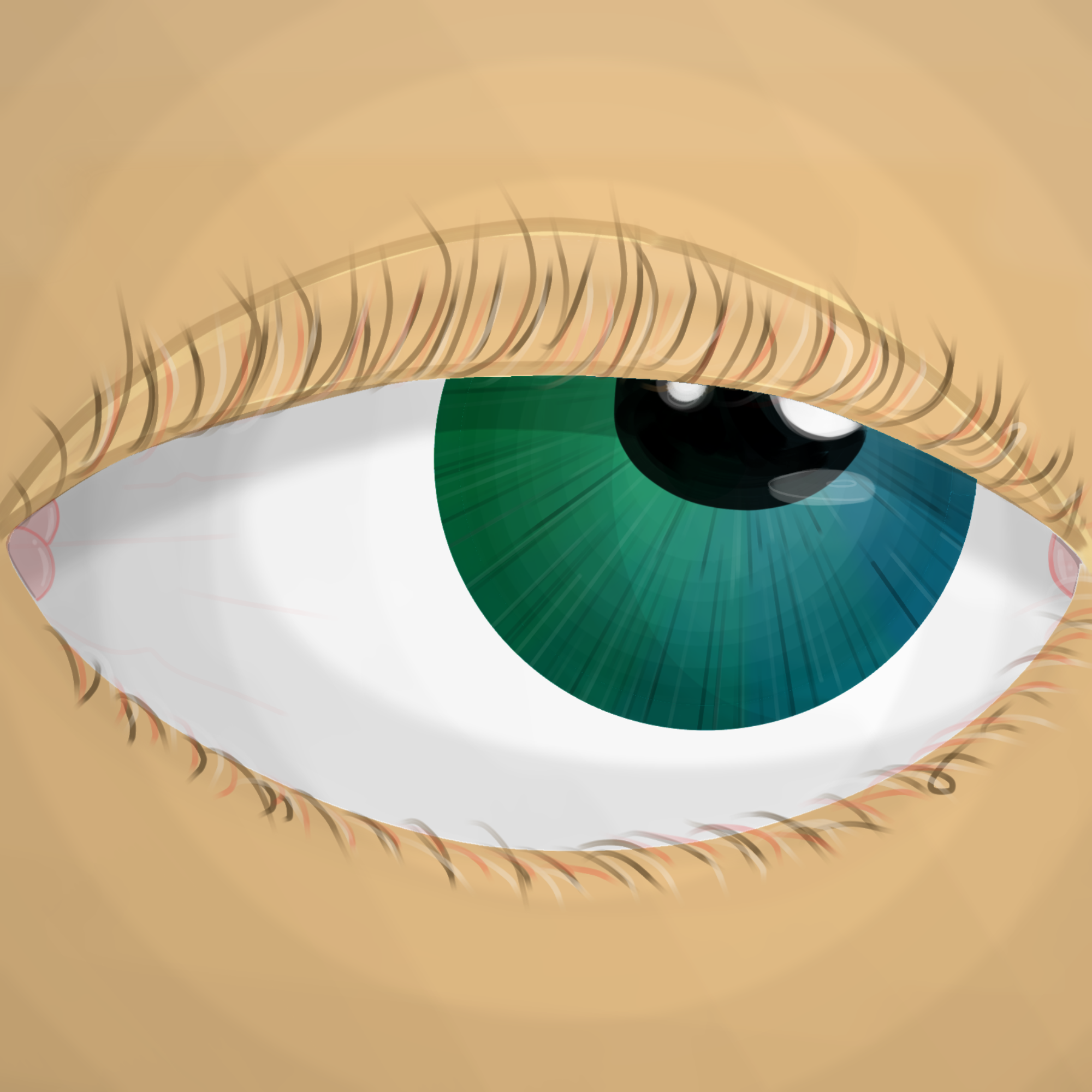 Attempt at realism pt.2 - ibisPaint