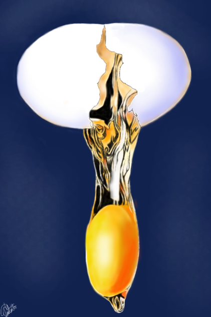 egg - ibisPaint
