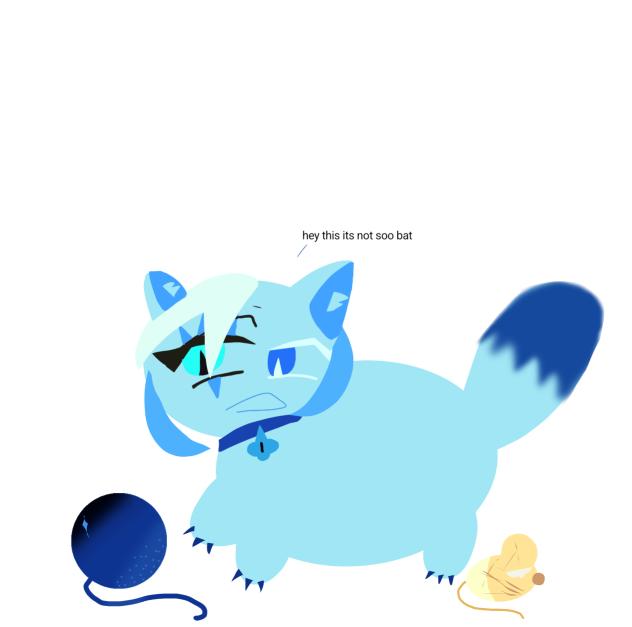 💙🍪💙🐱