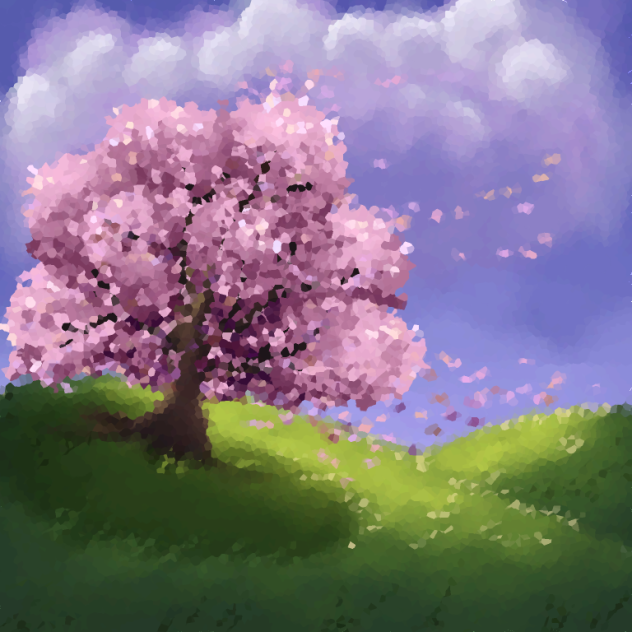 Cherry Blossoms 🌸