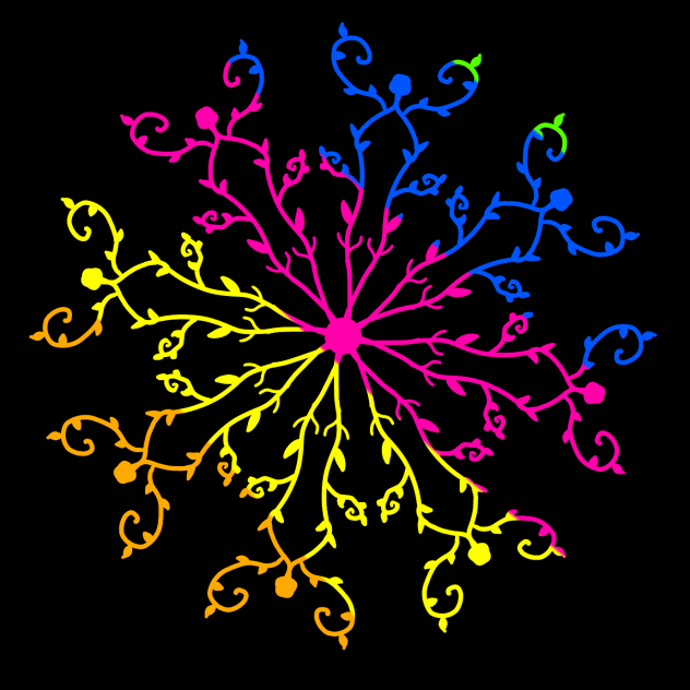 Colorful flower 🤩🤩🤩