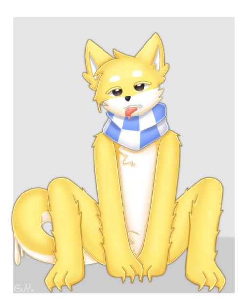 Shiba