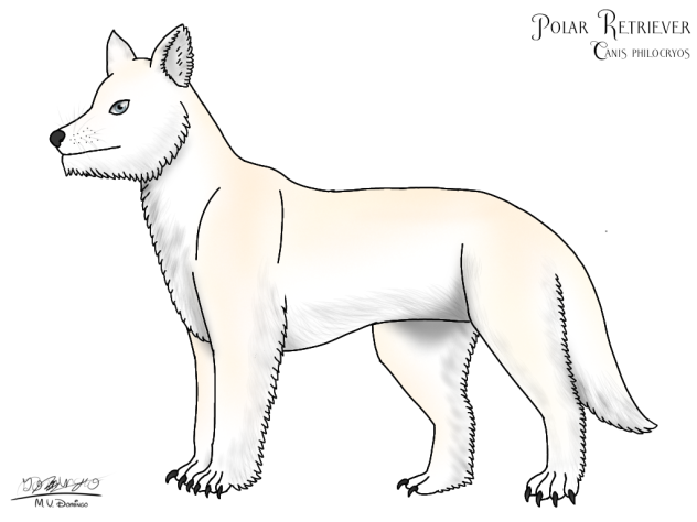 Polar Retriever – Revampization
