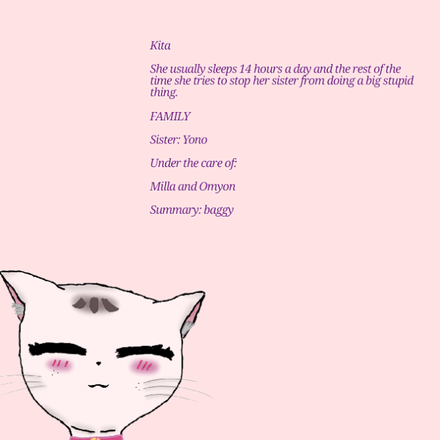 Features of ✨Kita✨