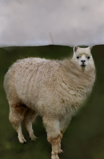 bootiful llama