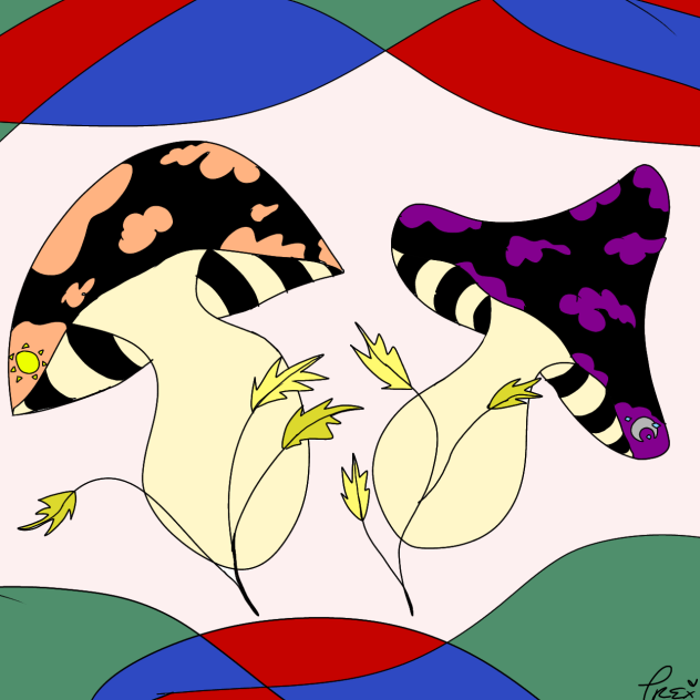 Shrooms