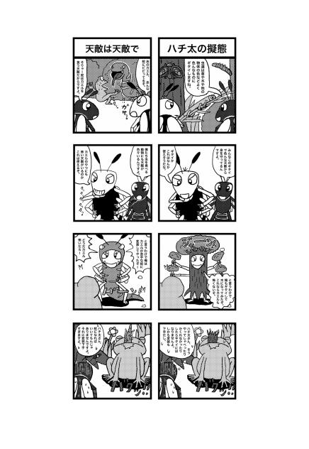 ハチだハチ太　パイロット漫画その36