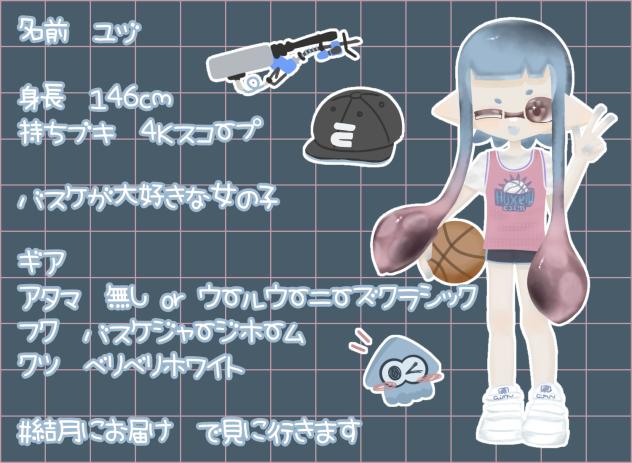 マイイカ資料