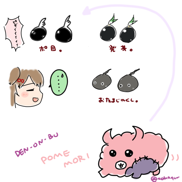 ポ目。