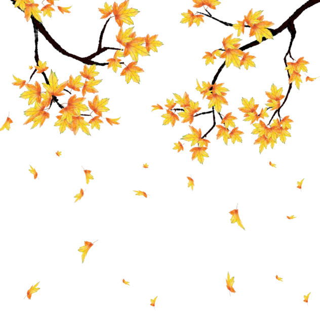 Maple tree.2022.09.06-21.59