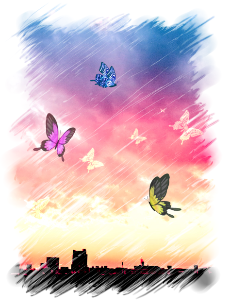蝶背景、夕暮れ