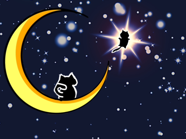 猫と天体観測