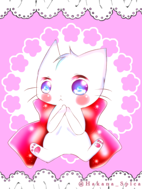 猫のみーちゃん