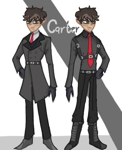 diseño de carter