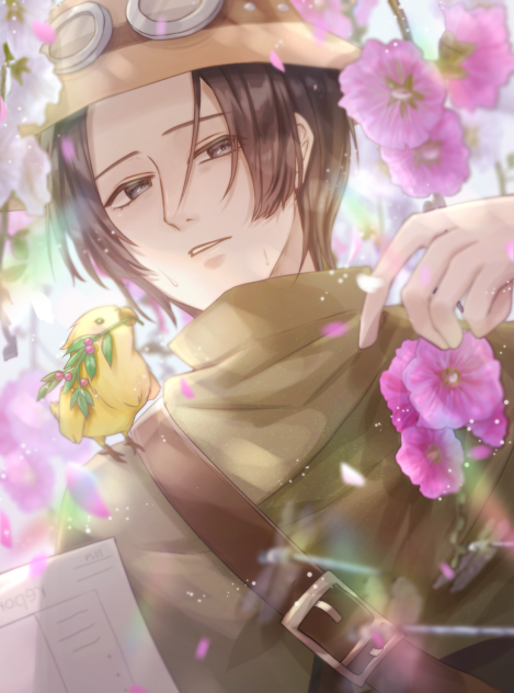 花弁