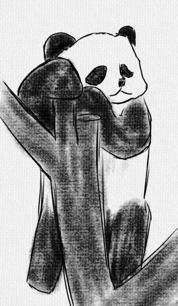 パンダ