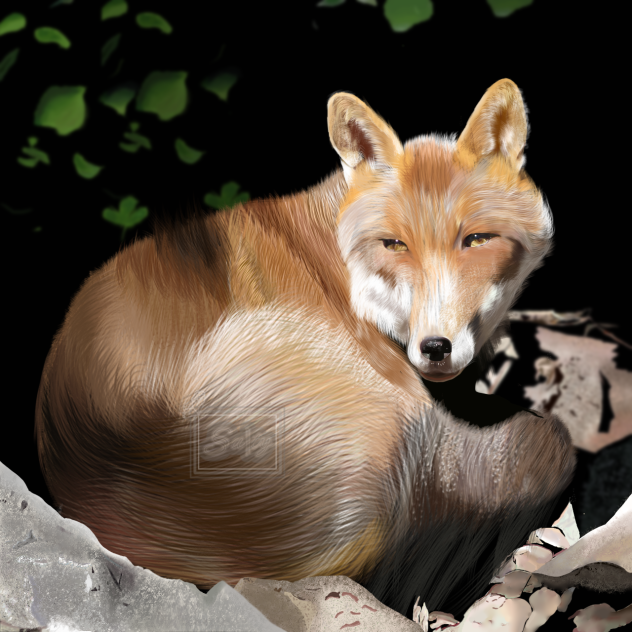 🦊 - ibisPaint