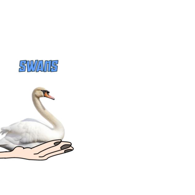 Swans like scones, come to johns!
