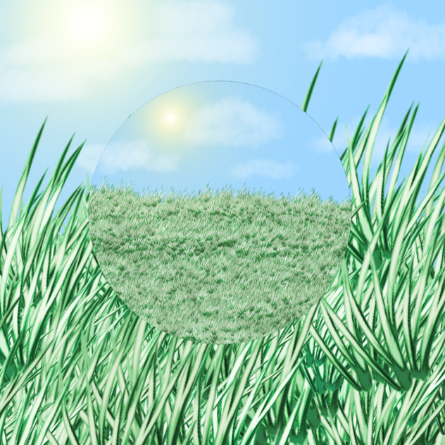 Grasslands