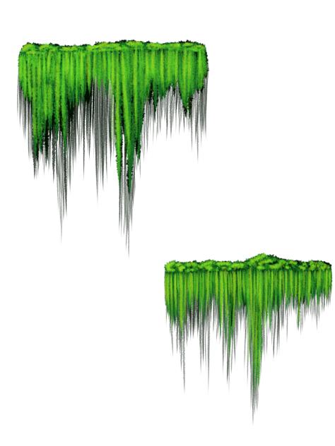 Wild Dropping Creeper