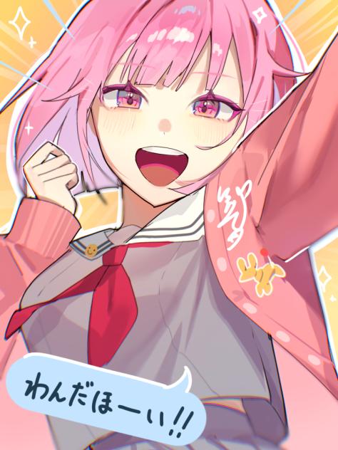 わんだほーいー！！