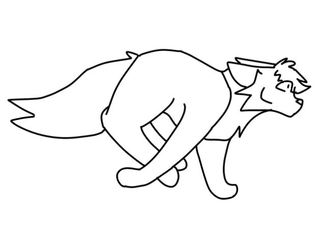 Cat Animation test