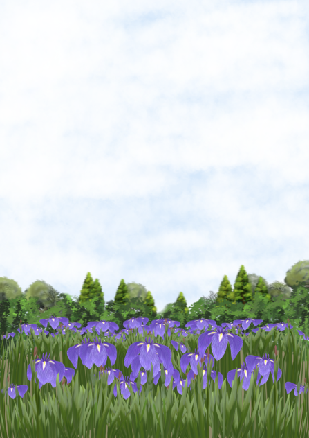 花菖蒲園の風景