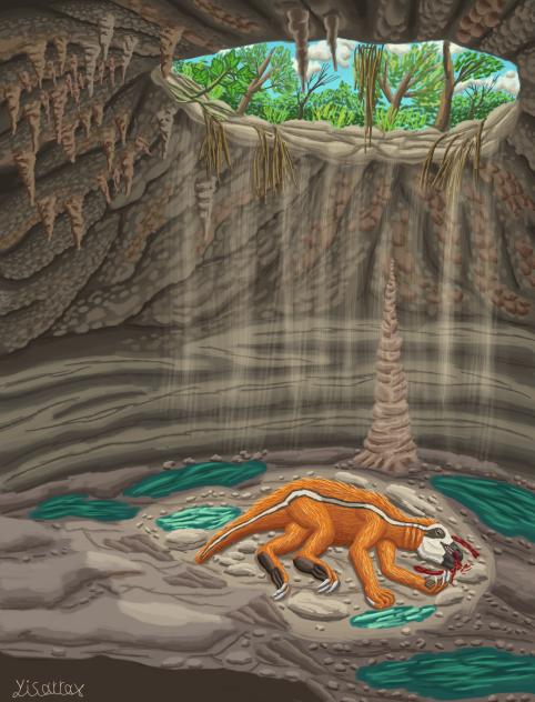 Xibalbaonyx Oviceps and  Cenote