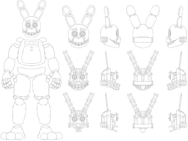 Spring-Bonnie Head (ref for 3D model)