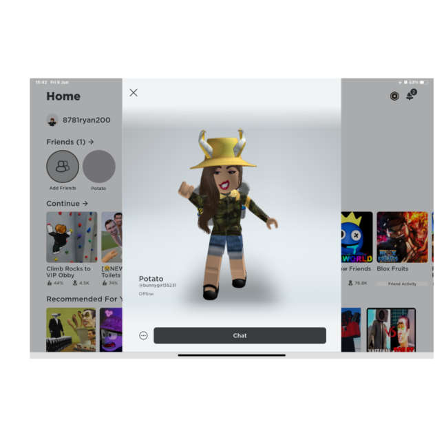 Is this you potato bun