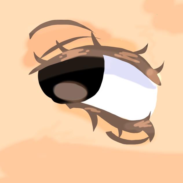 using lasso fill for the first time