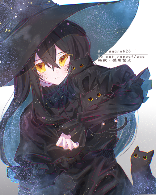 猫の