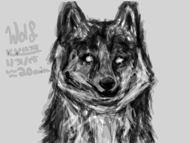 Grey Wolf (Realistic)