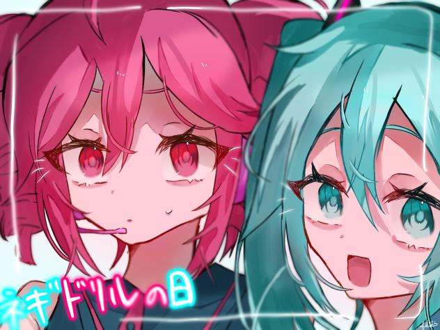 ネギドリルの日