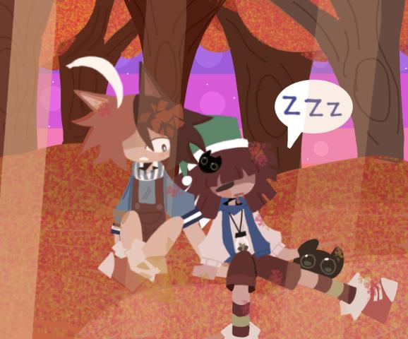 💤🌒…