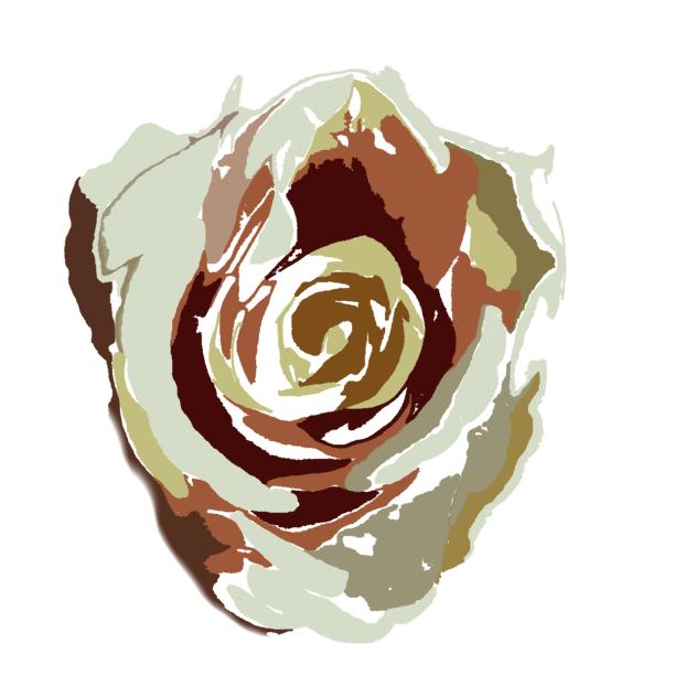 rose