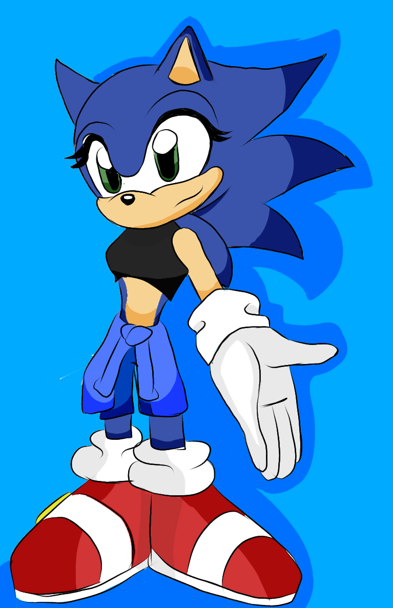Sonica The Hedgehog - ibisPaint