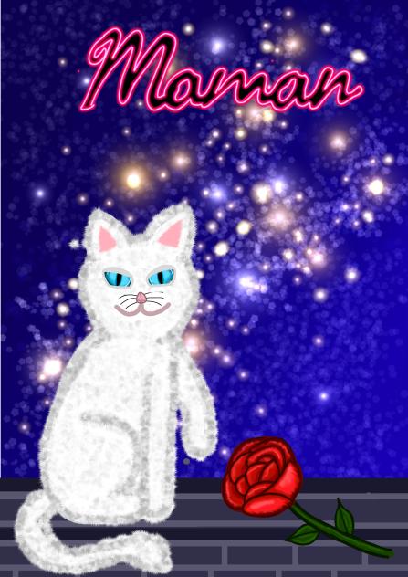 Cat night