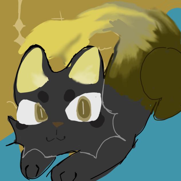 gato aquático !
