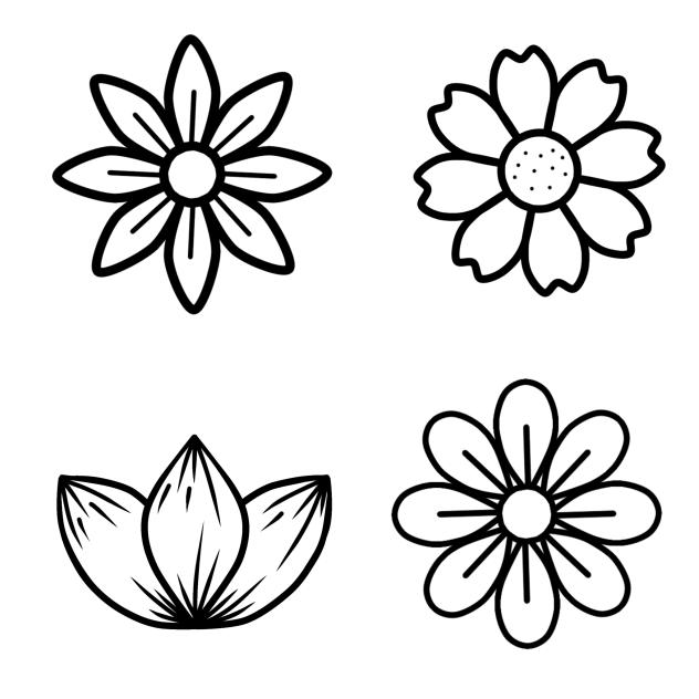 Flowers ♡♡♡