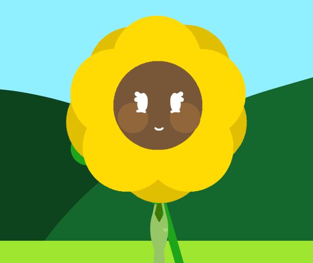 Sunny