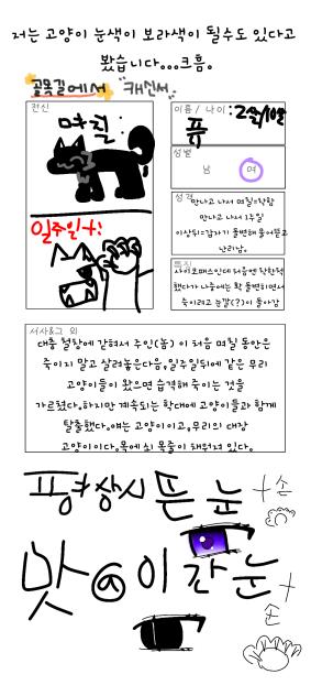 이로님 골목길에서 캐신 젳!