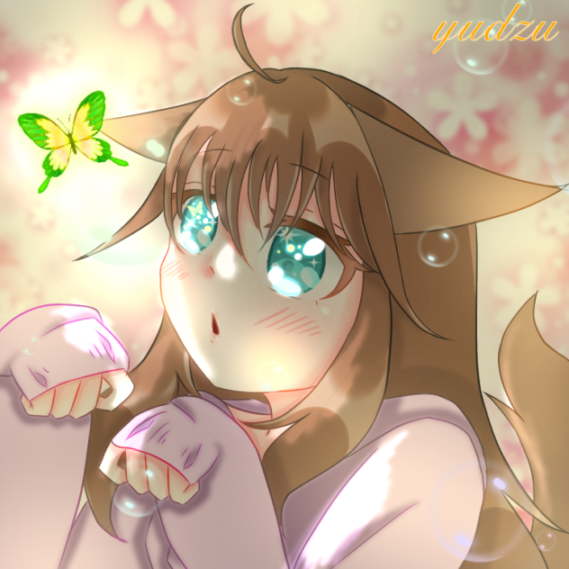 蝶とウララ