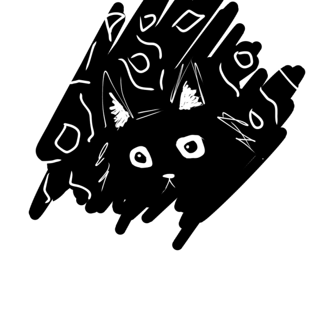 Cat in the dark
