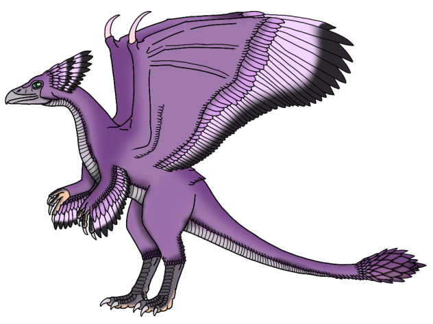 Maximo Morrison Buenaventura2