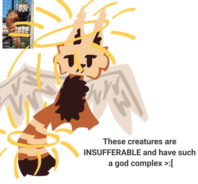 Sun Angel