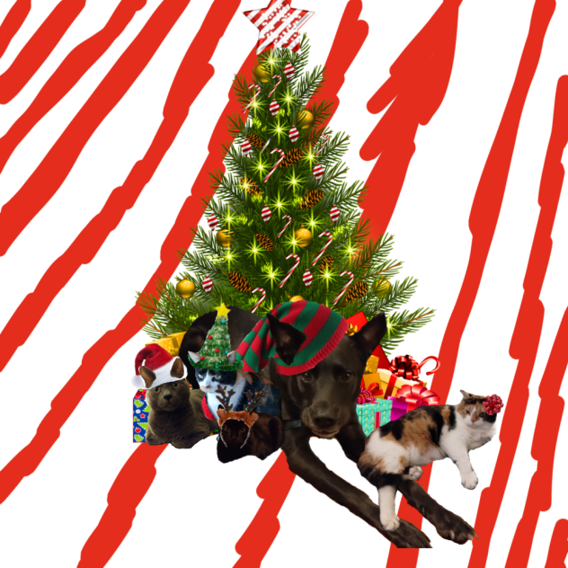 MARY CHRISTMAS