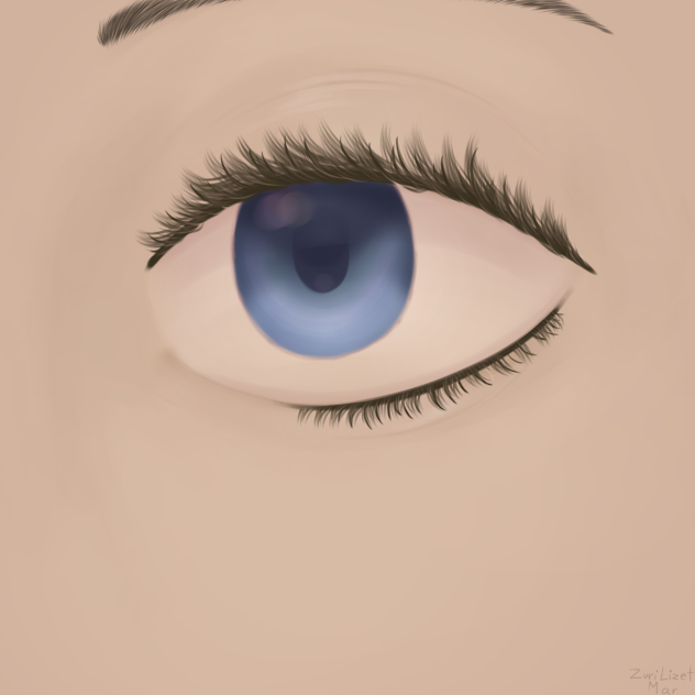 attempt of a realist eye