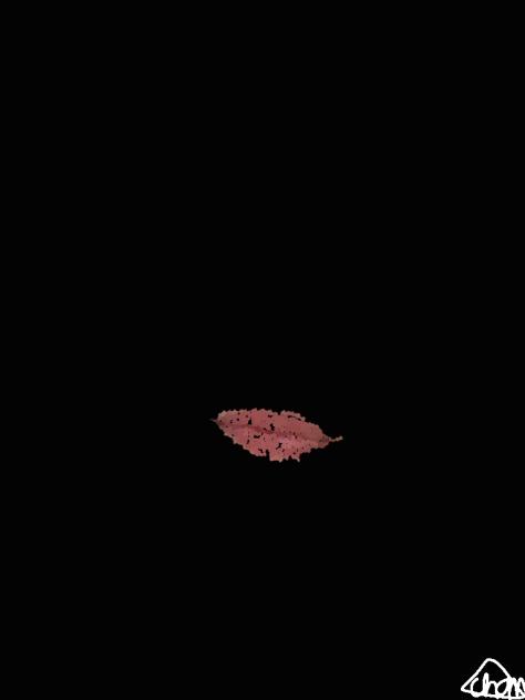 lip